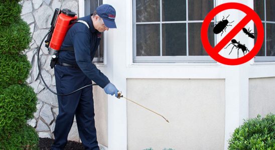 Akkışla Dezenfeksiyon böcek ilaçlama ve haşere kontrolü — ilaclama-tr.com